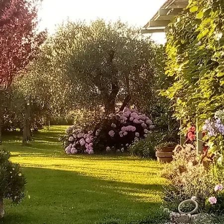 Vecchio Casale Margherita * Camaiore