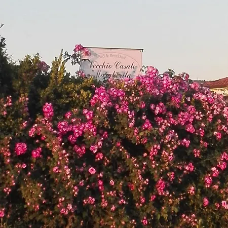 Vecchio Casale Margherita Oda ve Kahvaltı *