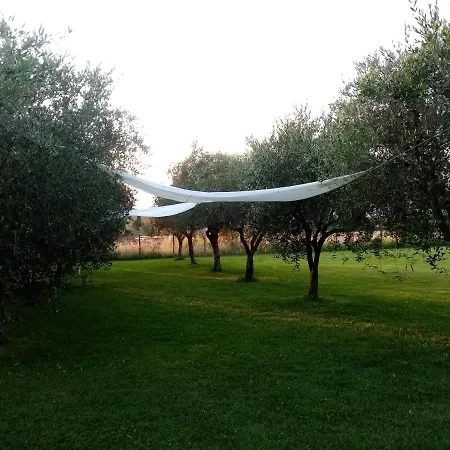 Vecchio Casale Margherita カマイオーレ